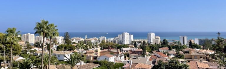 Andalusian hillside town of white and terracotta buildings above palm trees, the sea behind